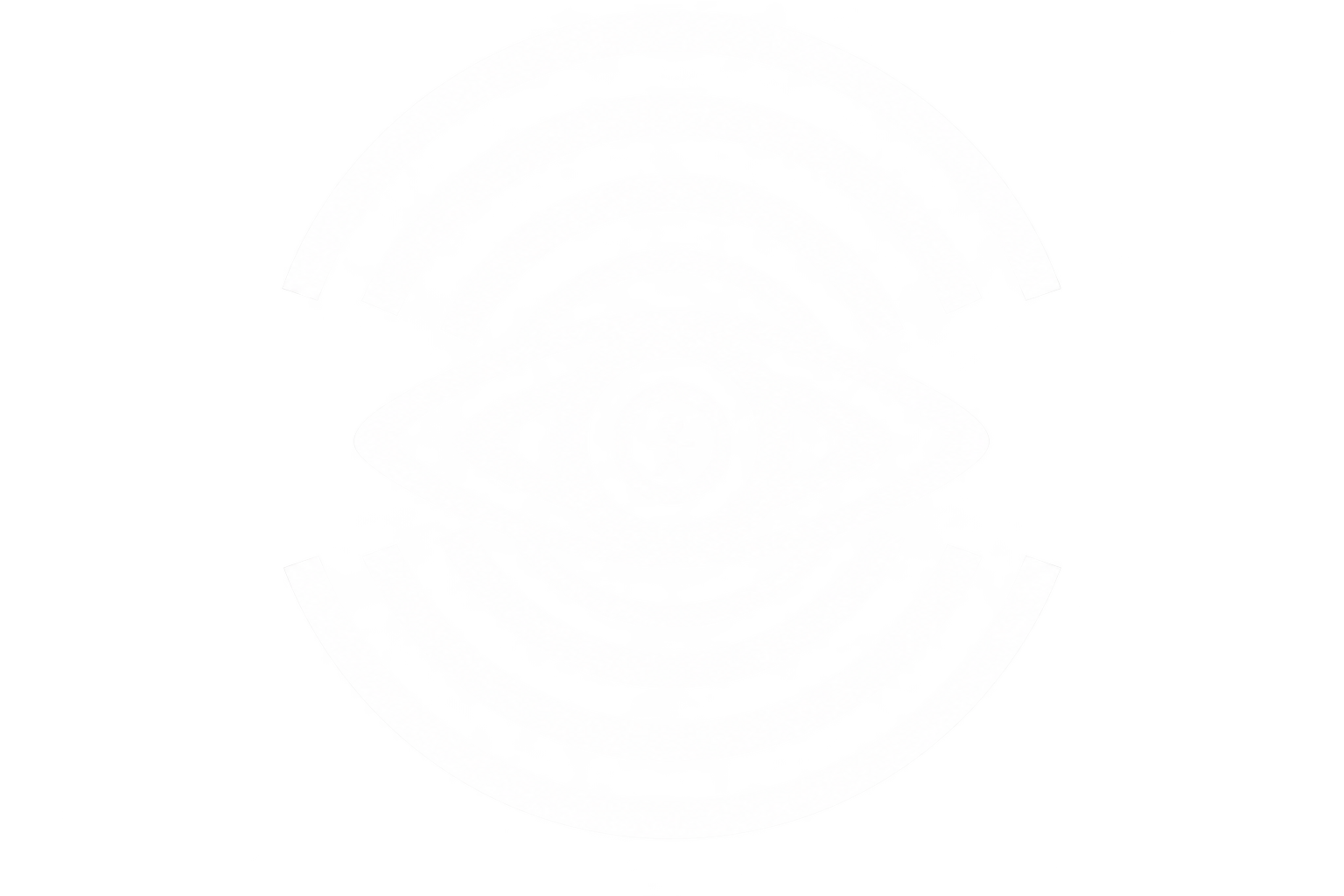 Safe and Seen Children Foundation logo